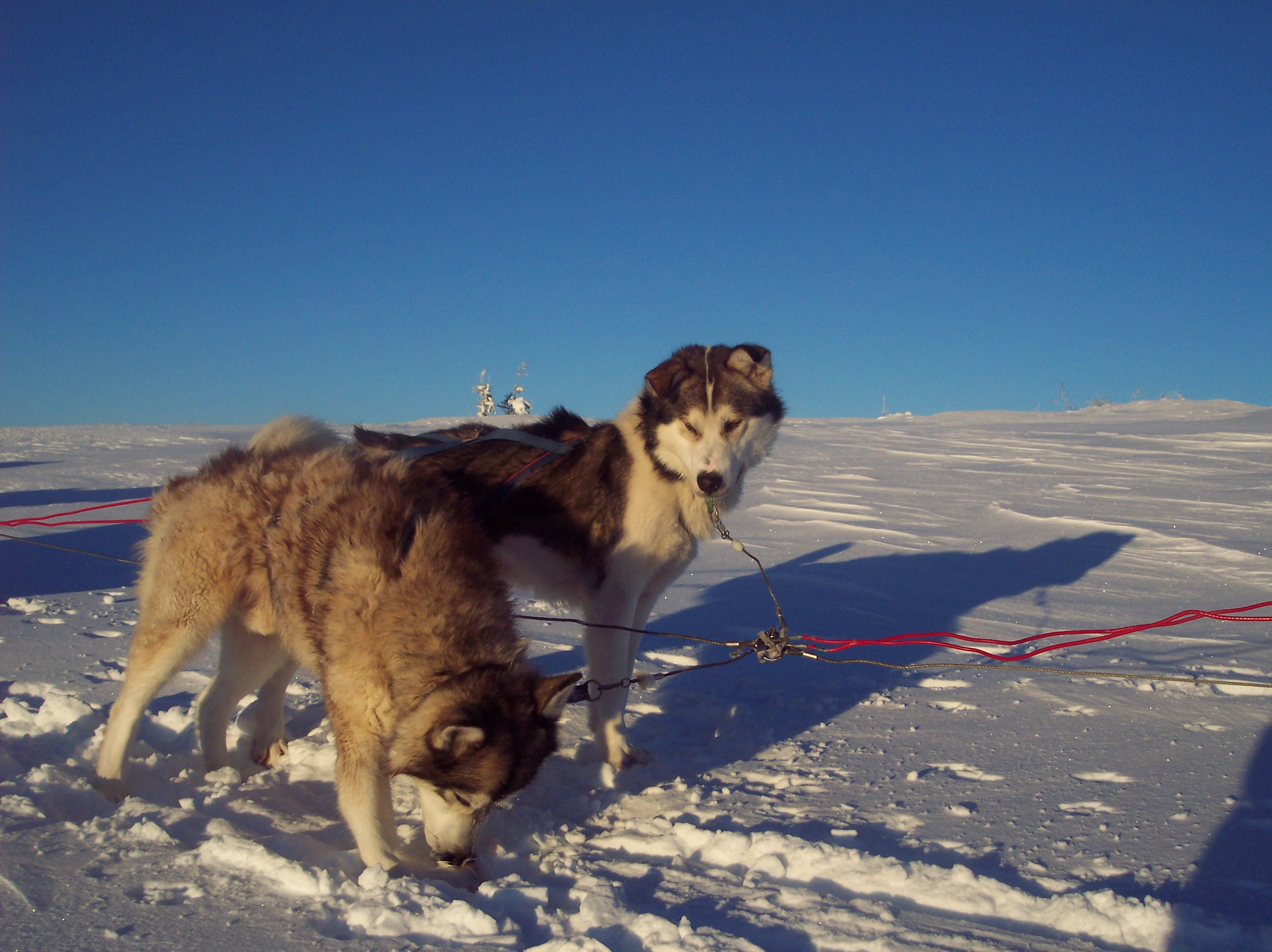 Schweden07.JPG (2580 x 1932)